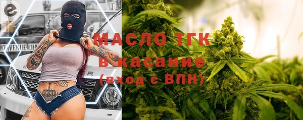 тгк Ельня